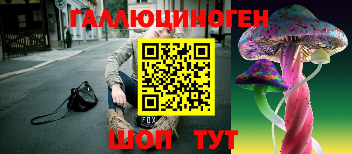 Псилоцибиновые грибы мицелий Азов